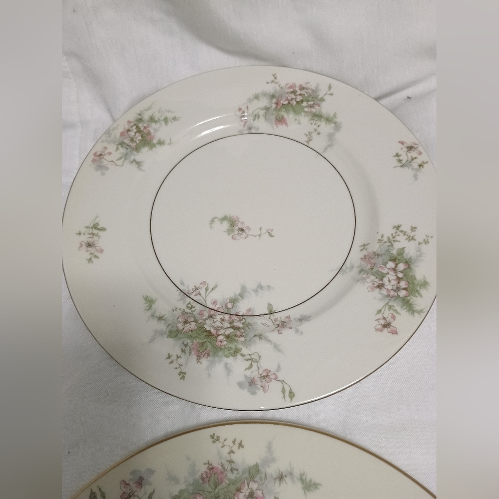 Pair Of Theodore Haviland New York dinner plates. Apple Blossom pattern - Picture 6 of 9